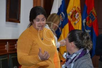 Pleno del Ayuntamiento correspondiente a enero de 2020 (Foto TA)